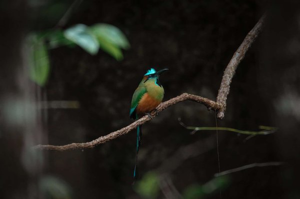 les stratégies pour améliorer l'engagement des employés dans votre entreprise